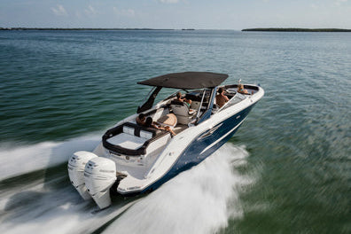 100-Hour / Annual Outboard Service